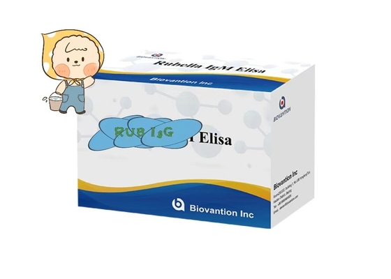 Rubella IgG ELisa Test Kits Doğurganlık Troch Hamile Kadınlar Kullanımı