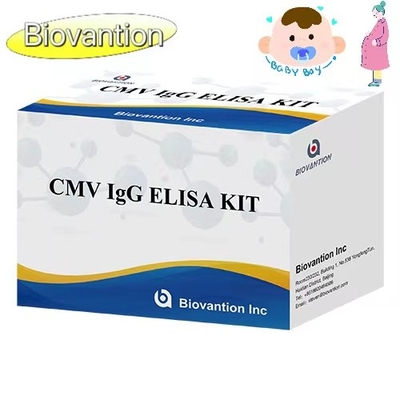 CMV IgG ELISA Kit Hamile Kadınlar Önleyici Test Yüksek doğruluk