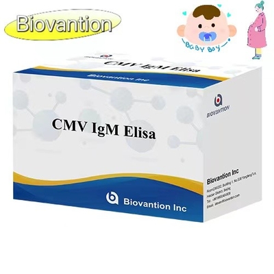 CMV IgM ELISA Kit Yüksek hassasiyet Hamile Kadınlar Önleyici Test