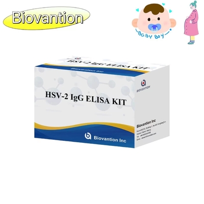HSV II IgG Torch ELISA Test Kitsinin Kullanımı İçin Yüksek Kesinlikli Talimatlar