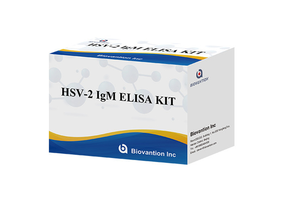 HSV 2 IgM Torch ELISA Test Kütesi Kullanım talimatları