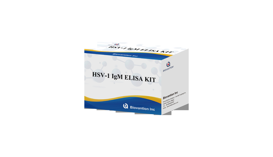 Torch ELISA Test Kit HSV 1 IgM Yüksek Sıcak Satış Tanı Reagent IVD