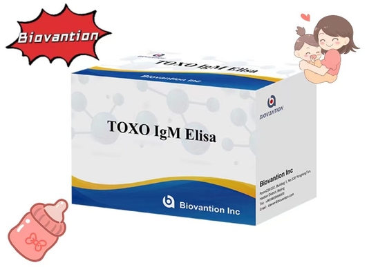 TOXO IgM ELISA Test Kits Torch Yüksek Duyarlılık Hastane Testleri Hamilelik Kontrolü