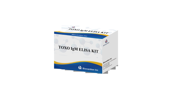 TOXO IgM ELISA Test Kits Torch Yüksek Duyarlılık Hastane Testleri Hamilelik Kontrolü