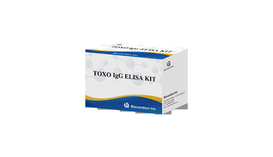 Fener Yüksek Duyarlılık TOXO IgG ELISA Test Kütesi Hastane Testleri Hamilelik Kontrolü