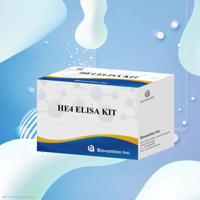 Tıbbi Tanımlamalar Hassas ve Güvenilir HE4 ELISA KITleri için ELISA Assay Kits