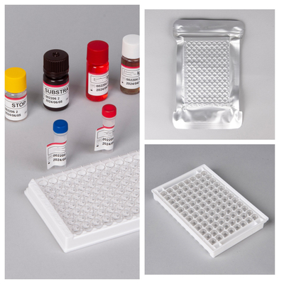 HIV Ab Ag Elisa Test Kitsleri 18 Aylık raf ömrü ve Yüksek Duyarlılık/Özellik