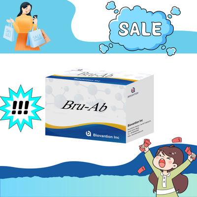 ELISA Hayvan Bru-Ab Elisa Reagent 192t Domuzlar Keçi Sığır ve Koyunlar için