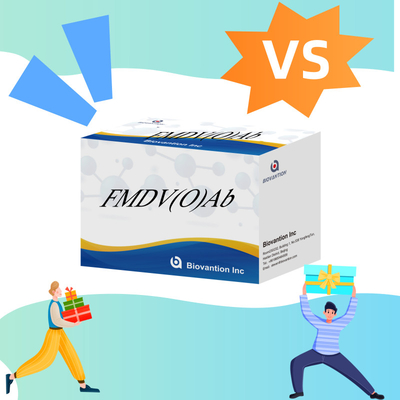 Sığır ayak ve ay hastalığı virüsü O Antibody Rapid Test Kit FMD FMDV Devastating Livestock Disease Detection