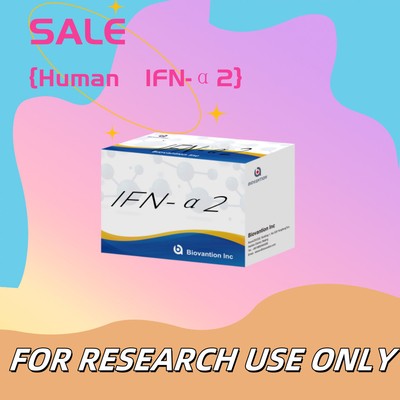 Elisa Reagans Kit İnsan IFN-α2 Araştırma Kullanımı Elisa Reagans Yüksek duyarlılık