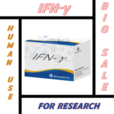 Laboratuvar araştırması Elisa Reagans Kit for Human Use IFN-γ Elisa Reagans Yüksek duyarlılık