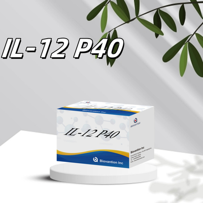 96 T Serum 98% Özellik ELISA RUO Test Kits İnsan IL-12 P40