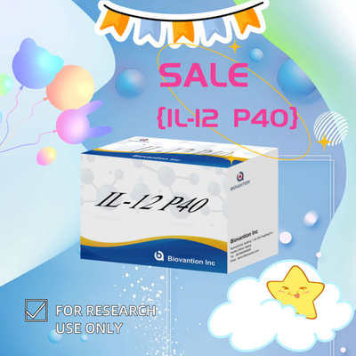 96 T Serum 98% Özellik ELISA RUO Test Kits İnsan IL-12 P40