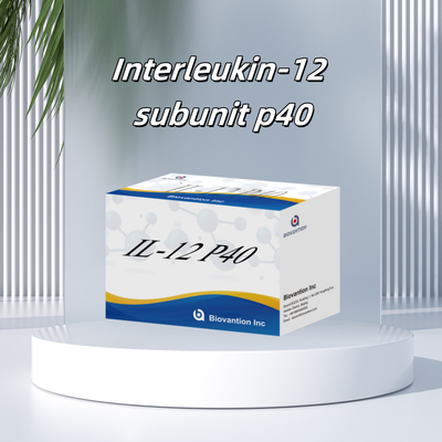 96 T Serum 98% Özellik ELISA RUO Test Kits İnsan IL-12 P40