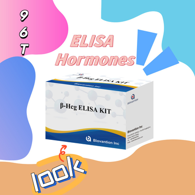 Beta-hCG (Kvantitatif) 1 Saatlik Elisa Antibody Duyarlılığı ve Spesifikliği Test Kütesi