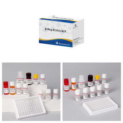 Beta-hCG (Kvantitatif) 1 Saatlik Elisa Antibody Duyarlılığı ve Spesifikliği Test Kütesi