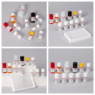 Beta-hCG (Kvantitatif) 1 Saatlik Elisa Antibody Duyarlılığı ve Spesifikliği Test Kütesi