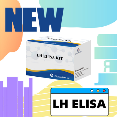 Biovantion ELISA Test Kits Diagnostik için İnsan Luteinizing Hormonu LH (Kvantitatif) hormonları tespit