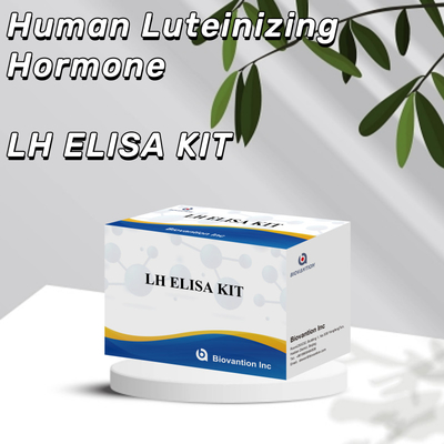 Biovantion ELISA Test Kits Diagnostik için İnsan Luteinizing Hormonu LH (Kvantitatif) hormonları tespit