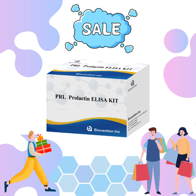 PRL Kvantitatif İnsan Hormonları Tanısal Detektör Reagent Kit