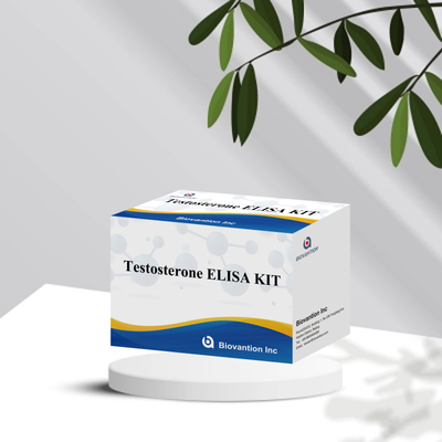 Serum plazma numunesi Elisa insan algılama reagansı Test0sterone Quantitative Elisa kit