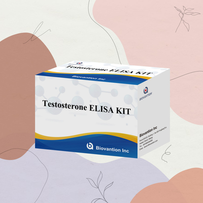Serum plazma numunesi Elisa insan algılama reagansı Test0sterone Quantitative Elisa kit