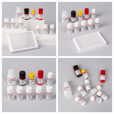 18 Aylık raf ömrü Duyarlılık FSH (Kvantitatif) Antigen Antibody Bulma için ELISA Kits