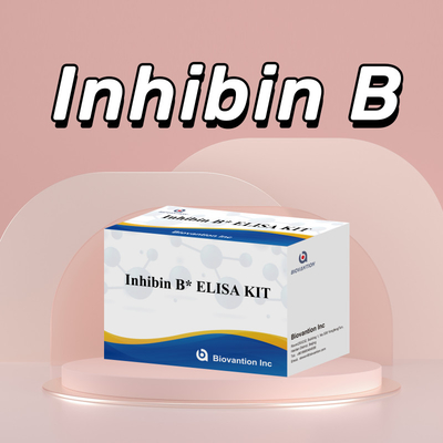 96T ile insan teşhisi için Biovantion Inhibin B Elisa Test Kit