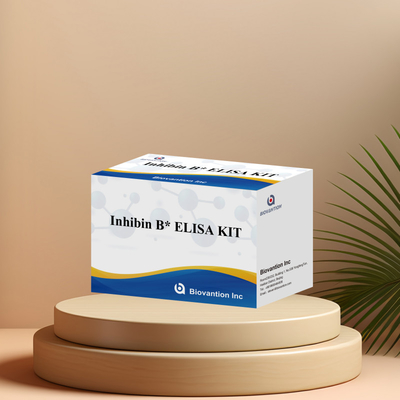 96T ile insan teşhisi için Biovantion Inhibin B Elisa Test Kit