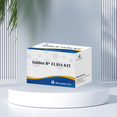 96T ile insan teşhisi için Biovantion Inhibin B Elisa Test Kit