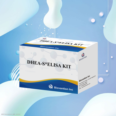 Biovantion Test Dehidroepiandrosteronesulfat DHEA-S Duyarlı Elisa Test Seti