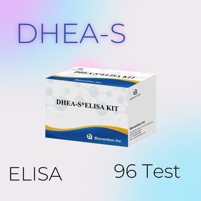 Biovantion Test Dehidroepiandrosteronesulfat DHEA-S Duyarlı Elisa Test Seti