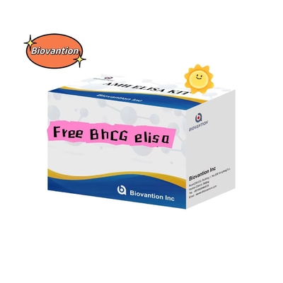 Ücretsiz BhCG Elisa Test Kits Serum Saklama 2- 8. C On Sekiz Ağız Kullanım Süresi