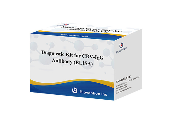 CBV-IgG Antibody ELISA test kitleri için tanı kitleri serum test kitleri