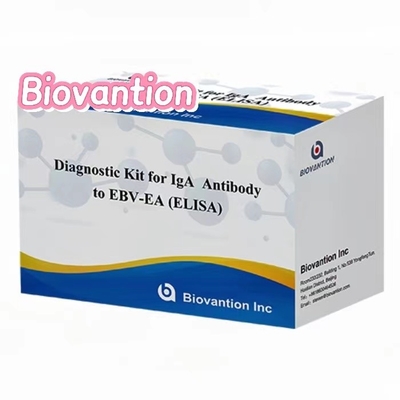 EBV-EA Elisa Test Kits IgA Antibody Yüksek Doğruluk Diagnostik Kits