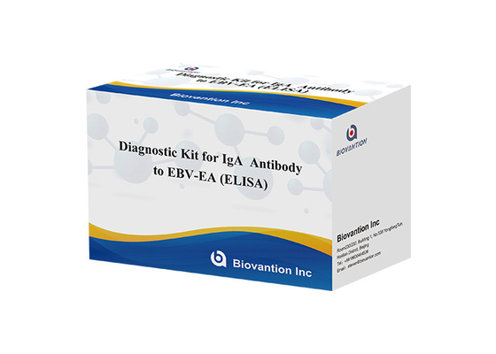 EBV-EA Elisa Test Kits IgA Antibody Yüksek Doğruluk Diagnostik Kits