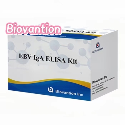 IgA EBNA1 Elisa Test Kütesi Serum 50μL Örnek Kütesi Biçimi