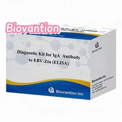 EBV-Zta'ya karşı IgA antikorları için teşhis kiti ELISA test kiti immünosorbant test kiti