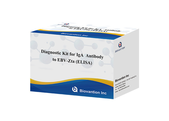 EBV-Zta'ya karşı IgA antikorları için teşhis kiti ELISA test kiti immünosorbant test kiti