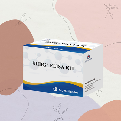 Biovantion SHBG Test Duyarlı Elisa Test Kütesi