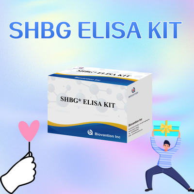 Biovantion SHBG Test Duyarlı Elisa Test Kütesi