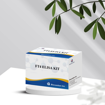 FT4 Yüksek spesifikliğe sahip Enzim Bağlı İmmunosorbant Test Kits