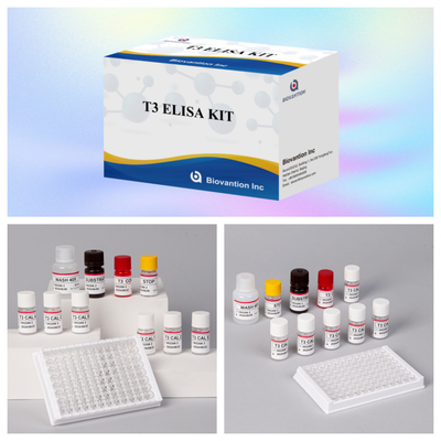 T3 Tıbbi Tespit Yüksek Spesifikiteli Enzim Bağlı İmmunosorbant Test Seti