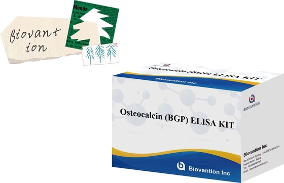 Hastalıkların hızlı tespiti için osteokalsin BGP Diagnostic ELISA Kit