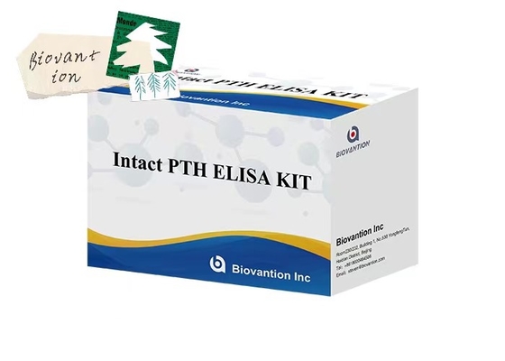 Bir saatlik test süresi ile plazma numuneleri için sağlam PTH 96 ölçüm ELISA test kiti