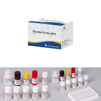 Ferritin IVD Elisa Serum Plazma Örnekleri için Hayvan Koruyucu