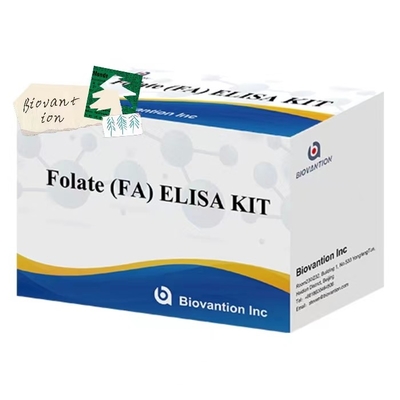 Yüksek duyarlılık ve özelliği olan Folat FA Tıbbi Tanı Immunoassay Test Kits
