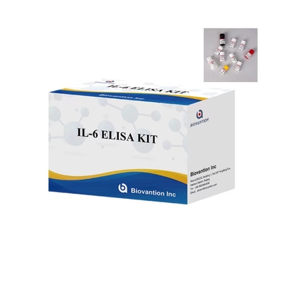 IL 6 Elisa Test Kits 1 Saat Test Zamanı 96 Testler IVD Laboratuvar Kullanımı İçin ELISA Kits