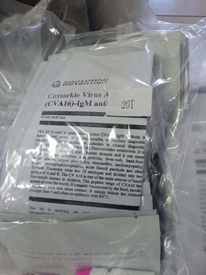 Coxsackie Virüsü A16 CVA16-IgM Antikor Kaseti Hızlı Test Serum Hızlı Testler Profesyonel