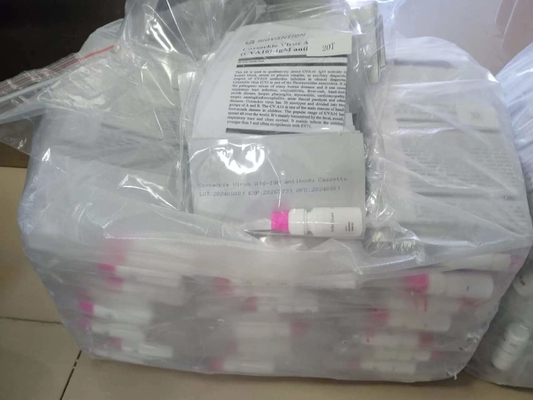 Coxsackie Virüsü A16 CVA16-IgM Antikor Kaseti Hızlı Test Serum Hızlı Testler Profesyonel